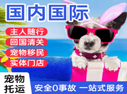 呼伦贝尔海拉尔空运代理国际宠物托运 【国